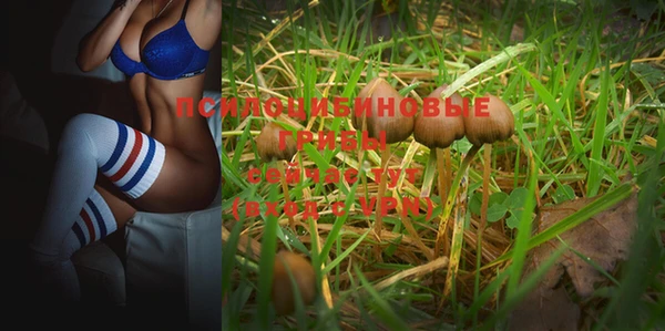 дурь Балабаново
