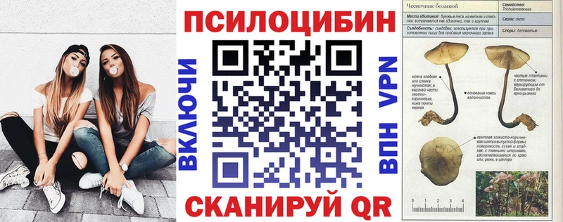 как найти закладки  Вытегра  Псилоцибиновые грибы MAGIC MUSHROOMS 